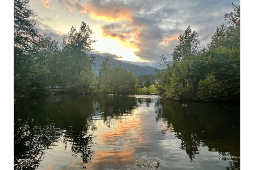 Reflection on Pullen Pond