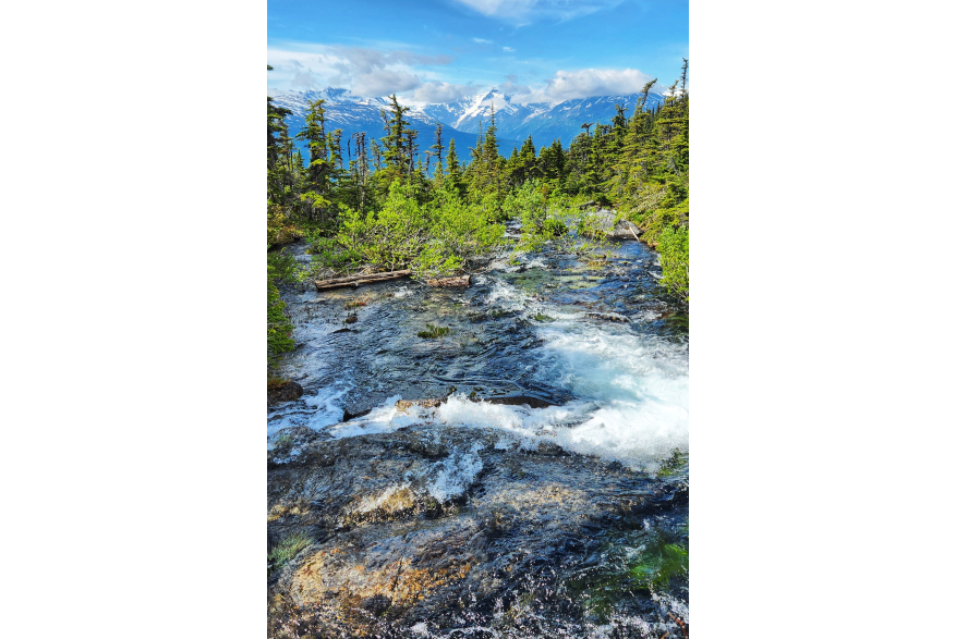 Upper Dewey Creek