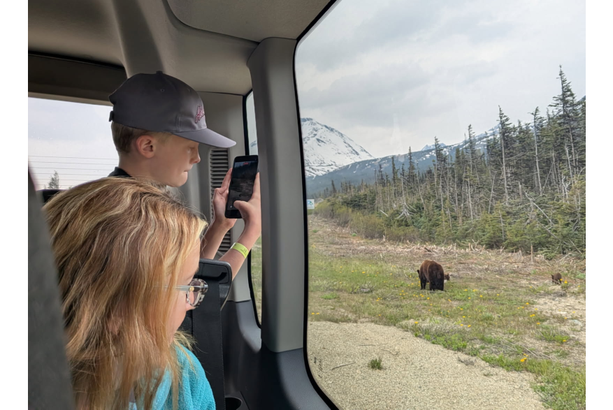 Mama and babies on the way to the suspension bridge