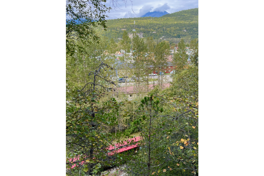 Skagway from Lower Dewey
