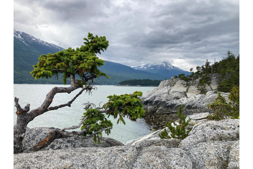 View from Yakutania Point