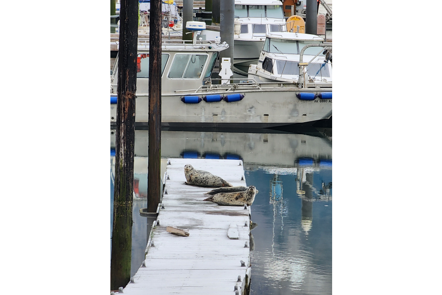 Small harbor last day of Pullen Creek RV Park, October 2025