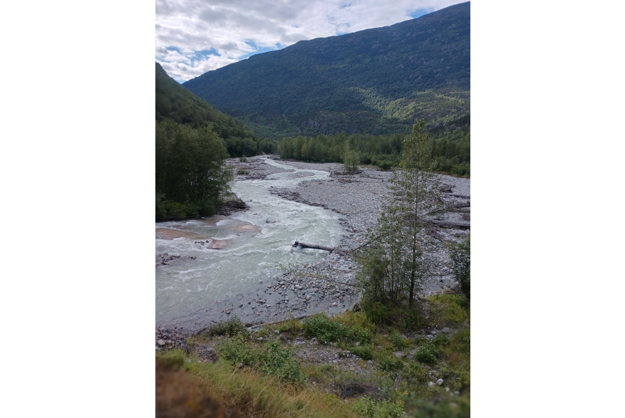 Skagway River view from rail car coming down White Pass.