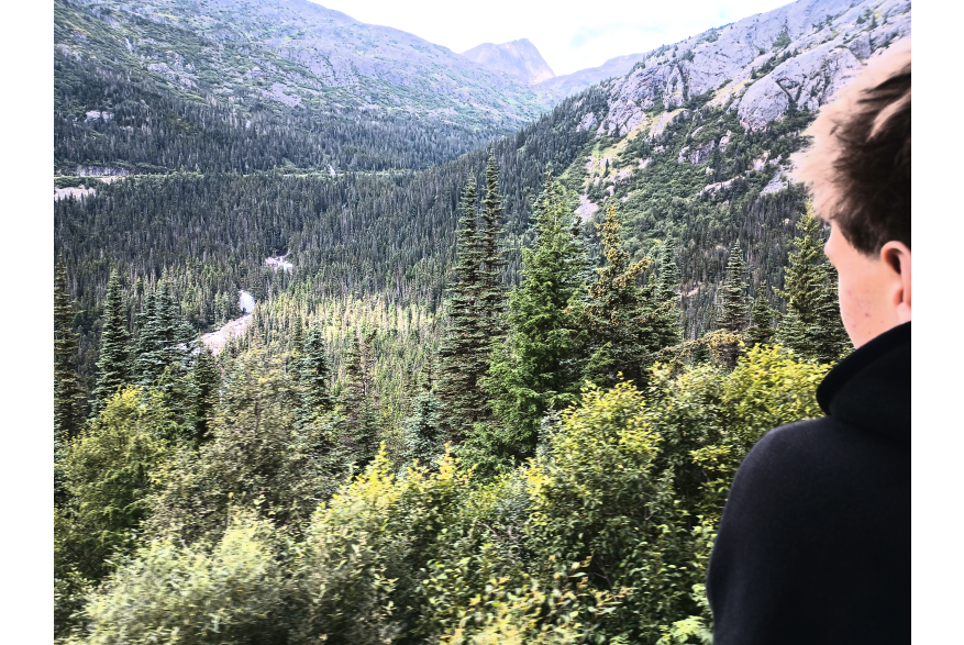 Skagway country on White Pass railway