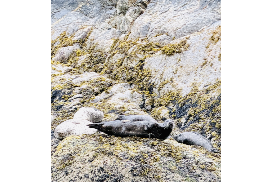 Sleeping stones