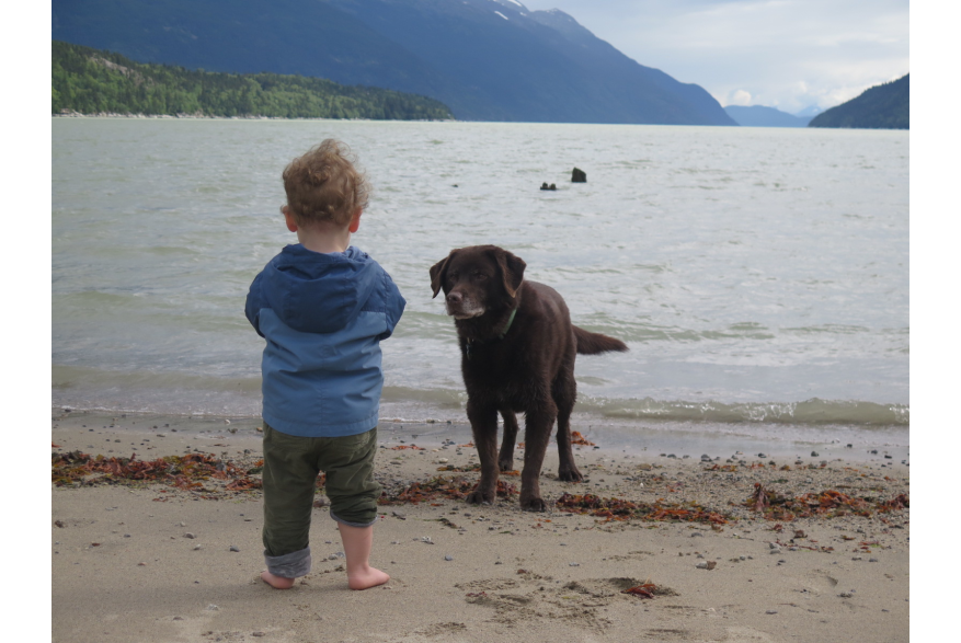 A Boy and His Dog