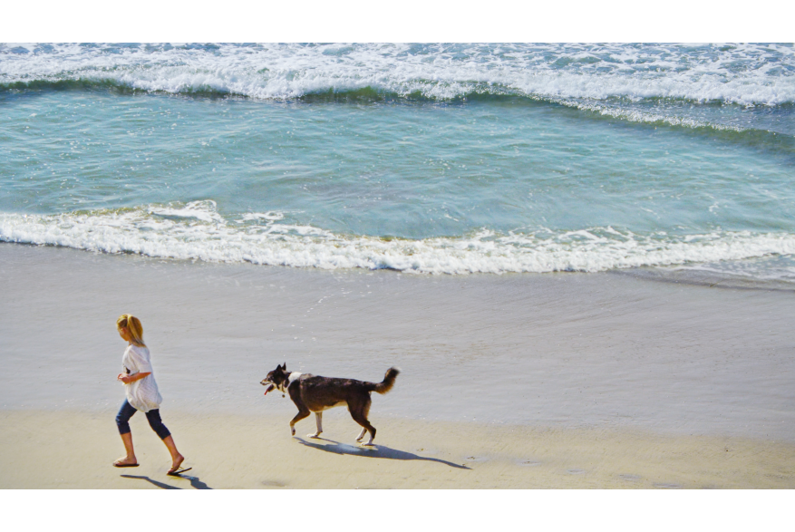 DogBeach6