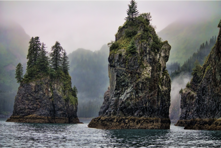 Alaska Kenia Fjords Seward