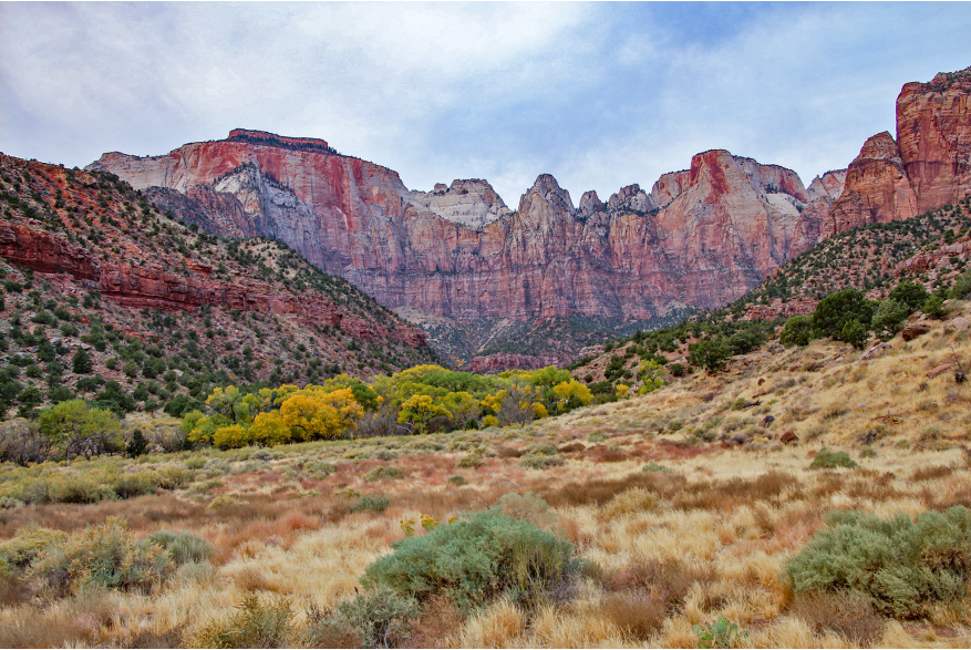 The multi-colored cliffs of the Towers of the Virgin in Zion National Park.