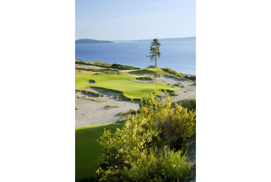 Chambers Bay Golf Course