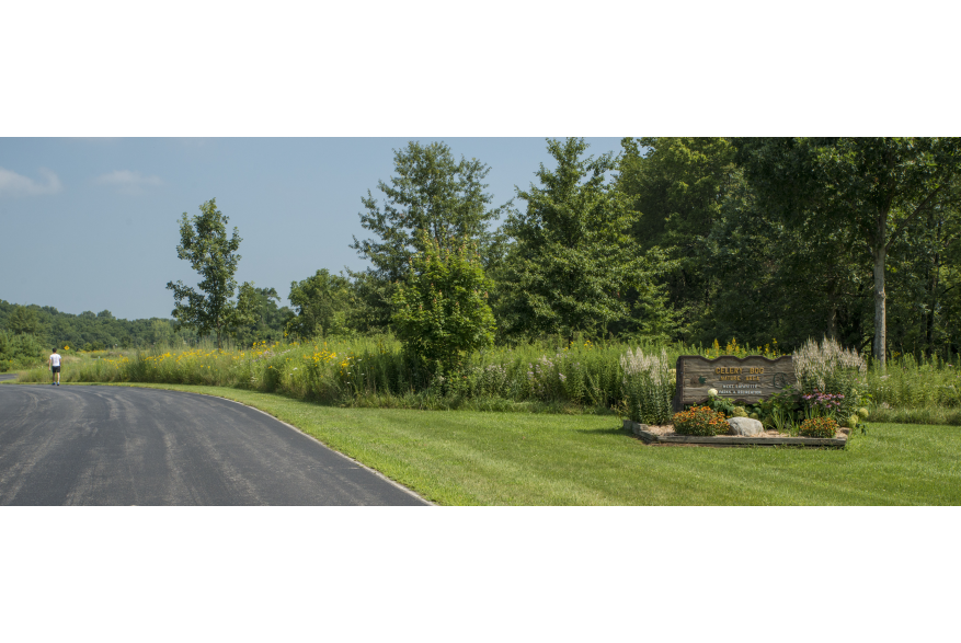 Celery Bog Nature Area