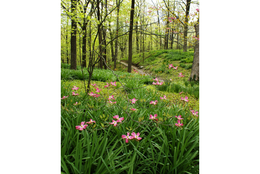 Clegg Memorial Garden