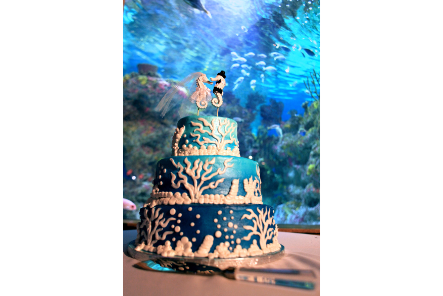 Wedding cake at the Aquarium