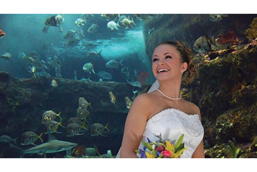 Bride at the NC Aquarium at Fort Fisher
