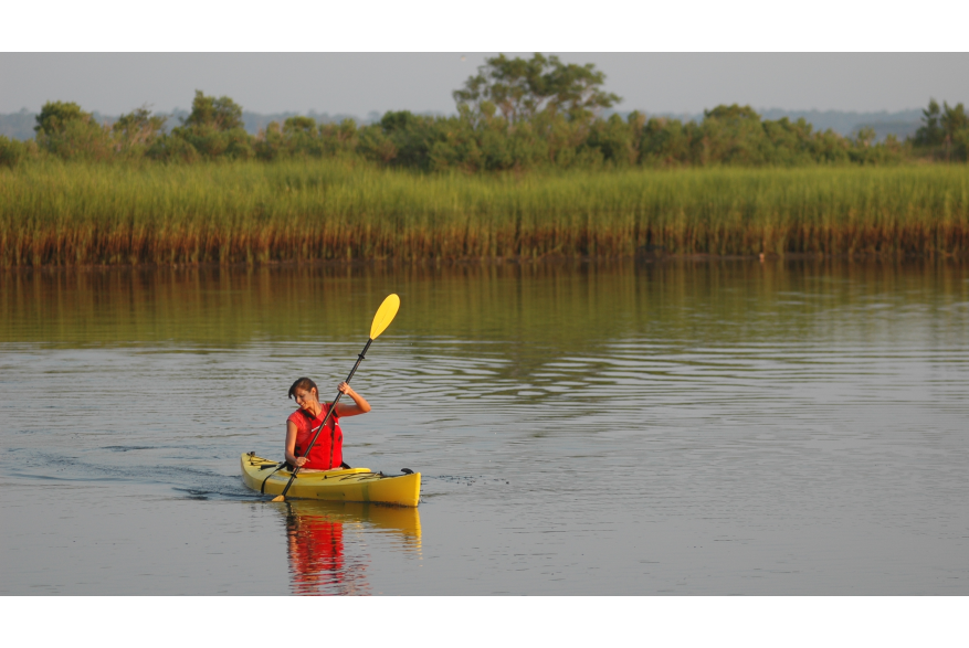 Woman in kayak in salt marsh