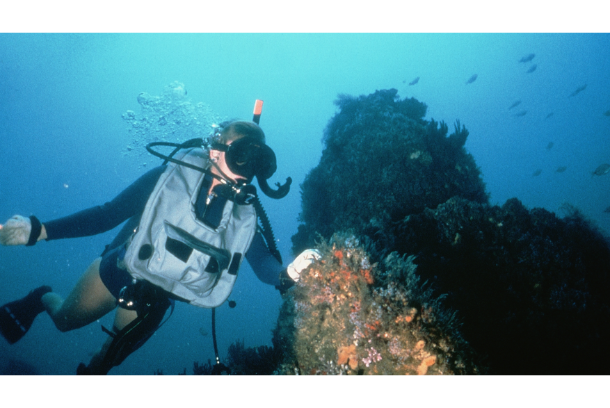 Scuba diver by reef
