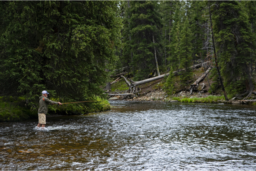 a fisherman with his line cast into a creeks' water in a forest