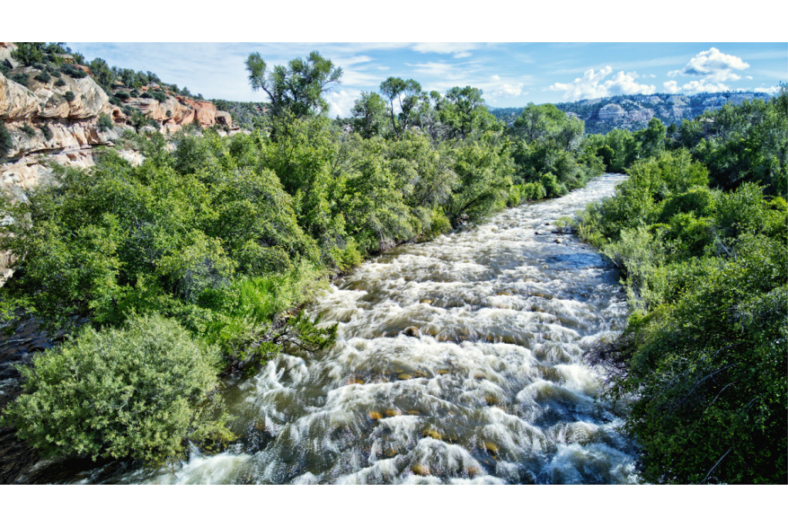 water rushing over a creekbed with foliage and trees on either side