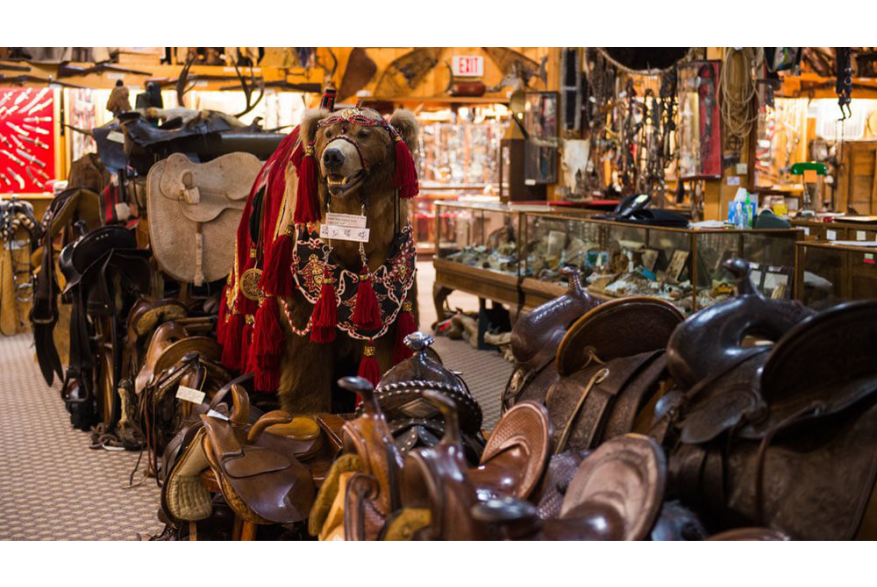 Sheridan Tour Travel Kings Saddlery Sheridan County