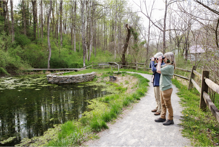 people enjoying nature and birdwatching at Nixon Park in York County, PA