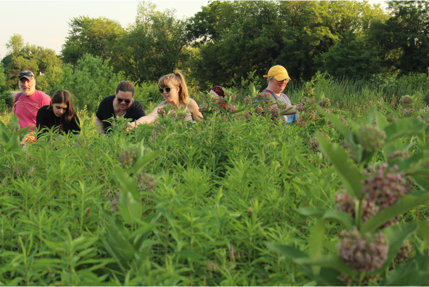 Foraging Session at Horn Farm Center