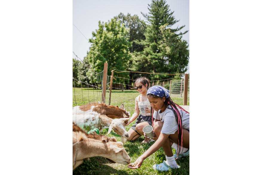 people enjoying feeding the goats at White Clover Farms
