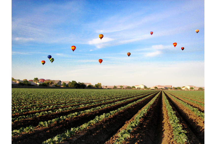 Farm field hot air balloons above