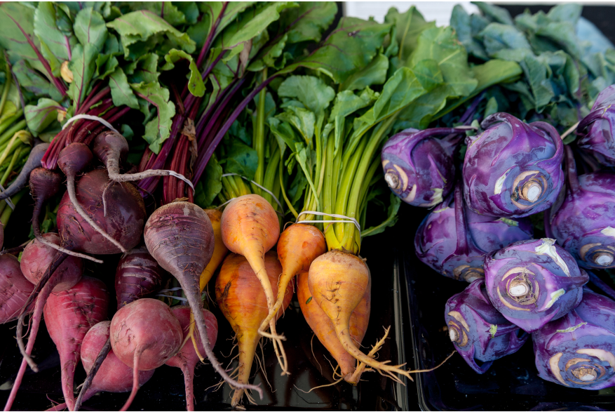 Harvested Root Vegetables from Yuma Field in Yuma, Arizona