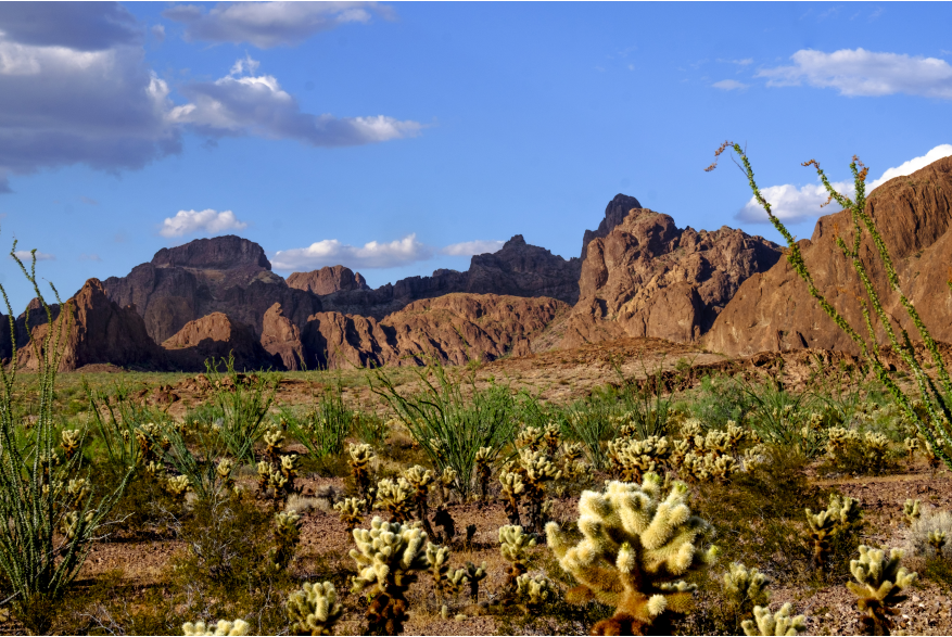 Kofa National Wildlife Refuge