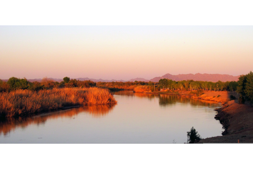 East Wetlands Park at the Colorado River