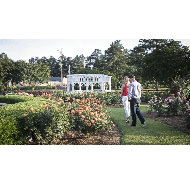 Young couple walking through Fayetteville Rose Garden