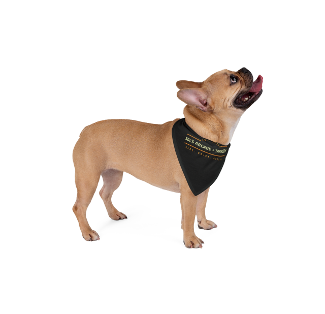 A tan French Bulldog wearing a black bandana printed with “Sol’s Arcade + Taproom” while looking upward with its tongue out, photographed on a white background.