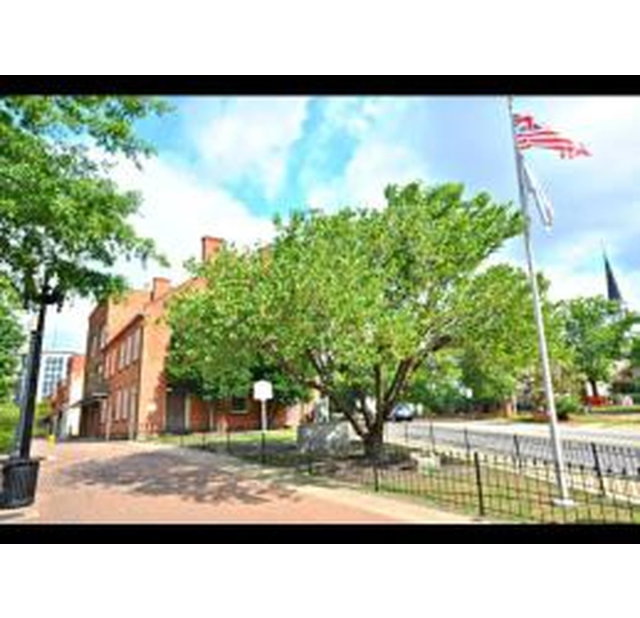 Liberty Point in downtown Fayetteville with historic brick buildings, trees, and a flagpole along the sidewalk.