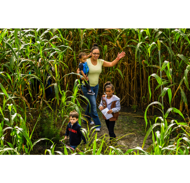 Gallberry Farms Mom and Kids
