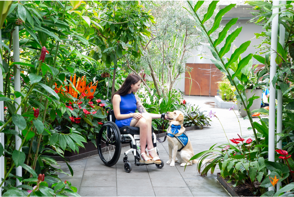 Girl in a wheelchair with her service dog in the Crystal Bridge