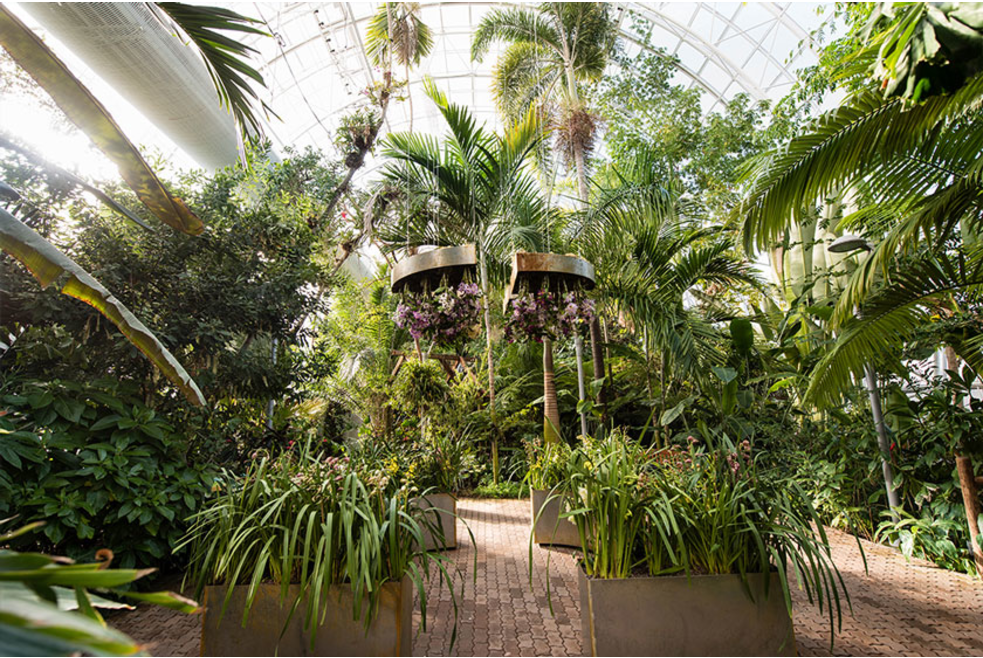 Myriad Botanical Gardens