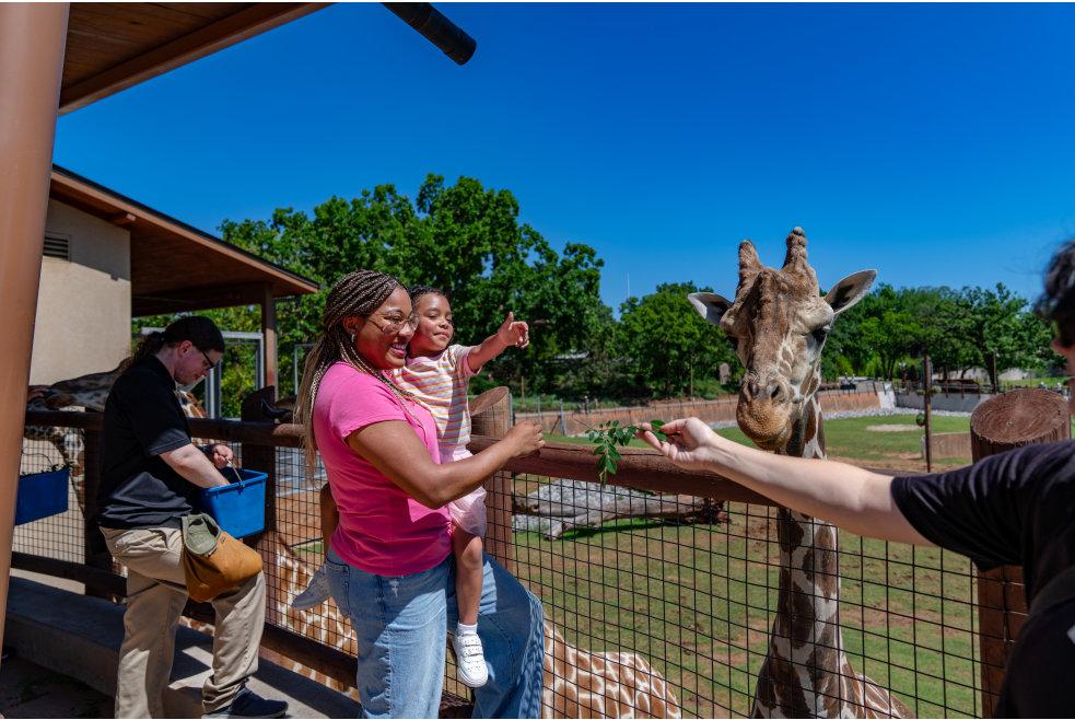 Giraffe Day OKC Zoo