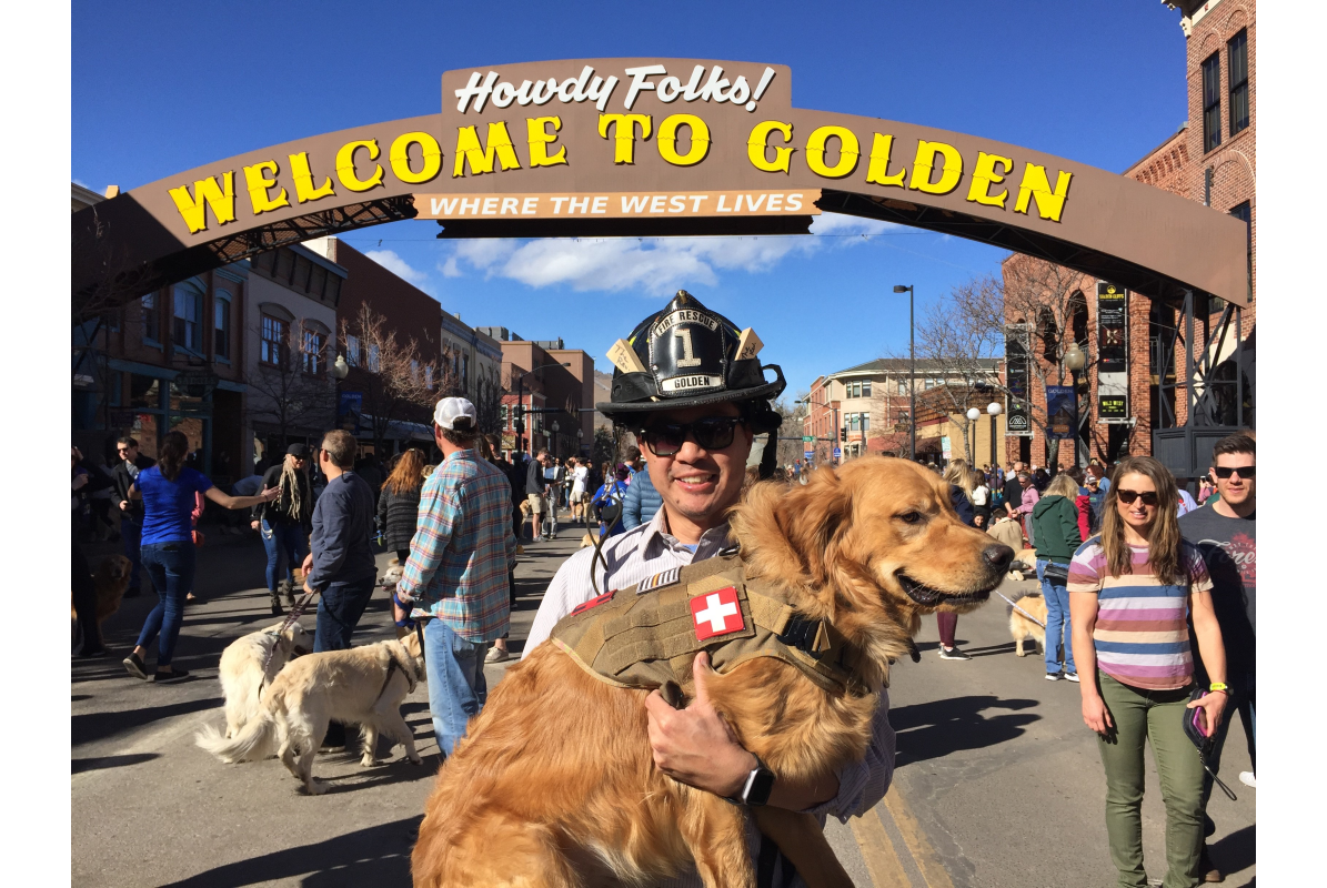 Goldens in Golden Firefighter