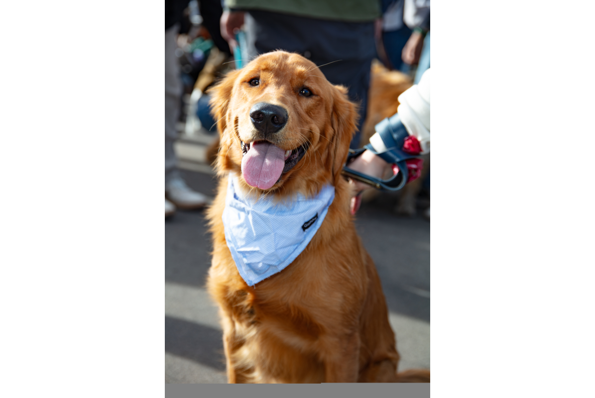2026-02-07_GiG_Bob-Krugmire (130)