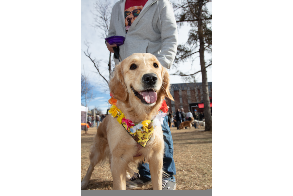 2026-02-07_GiG_Bob-Krugmire (173)