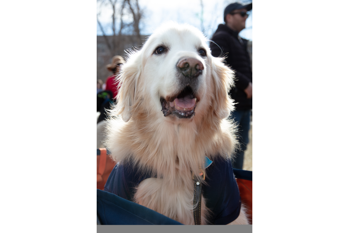 2026-02-07_GiG_Bob-Krugmire (175)