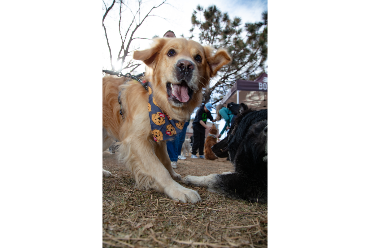 2026-02-07_GiG_Bob-Krugmire (178)
