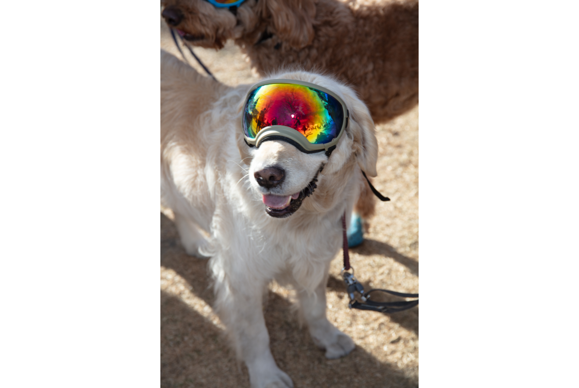 2026-02-07_GiG_Bob-Krugmire (19)