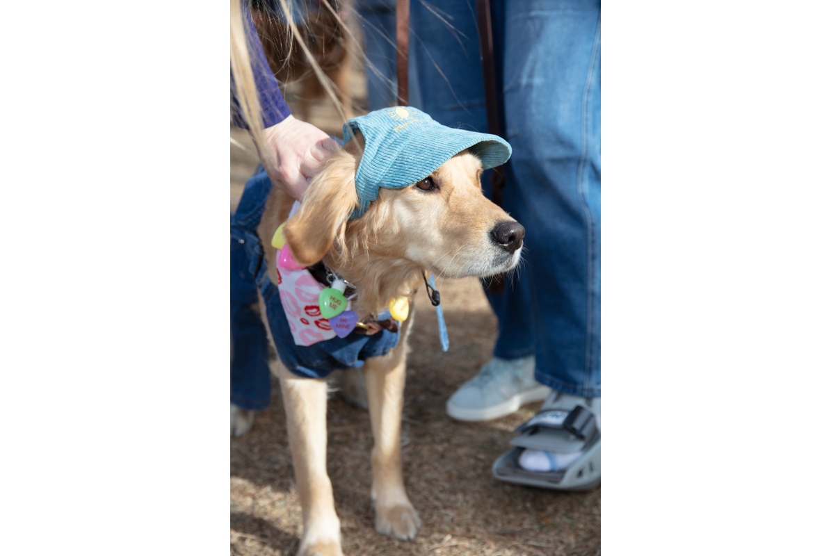 2026-02-07_GiG_Bob-Krugmire (205)