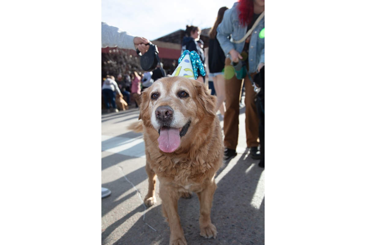 2026-02-07_GiG_Bob-Krugmire (44)