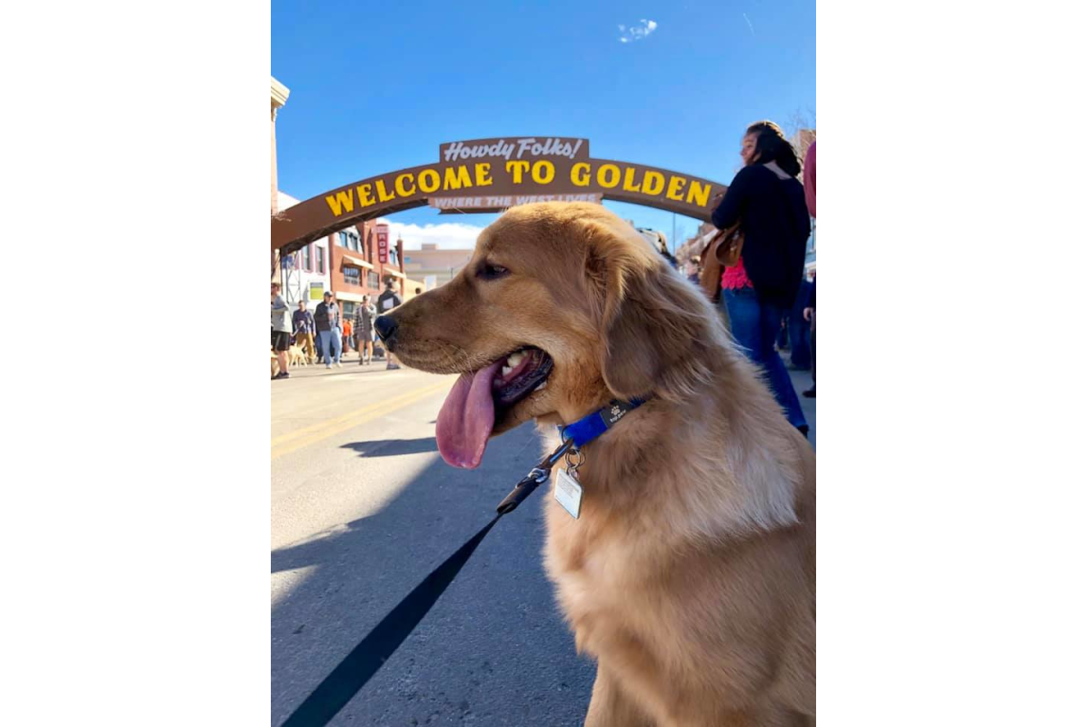 Golden Retriever Dog in Front of Welcome to Golden Arch