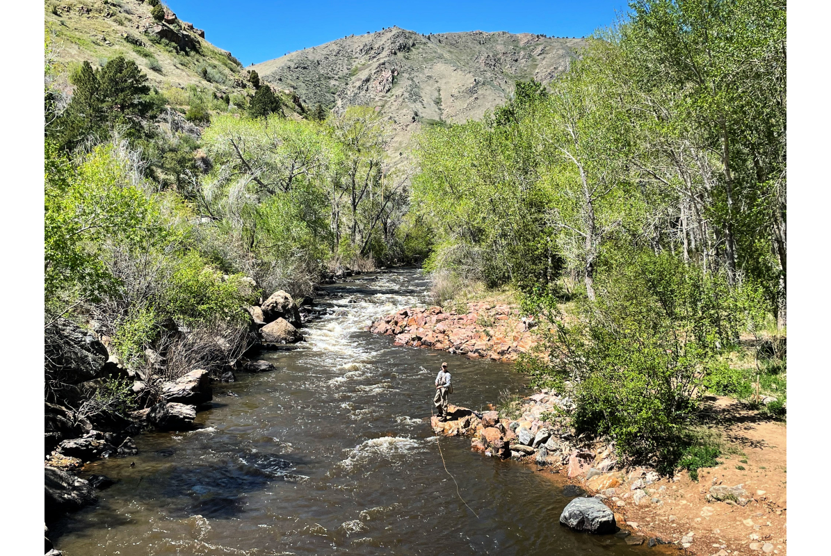 Clear Creek in Spring