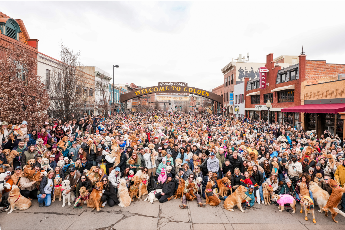Noon_Goldens in Golden 2025