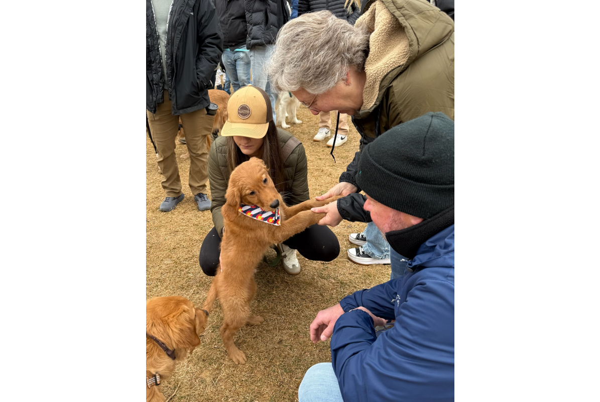 A golden retriever puppy and humans around, holding its paws up at Goldens in Golden 2025