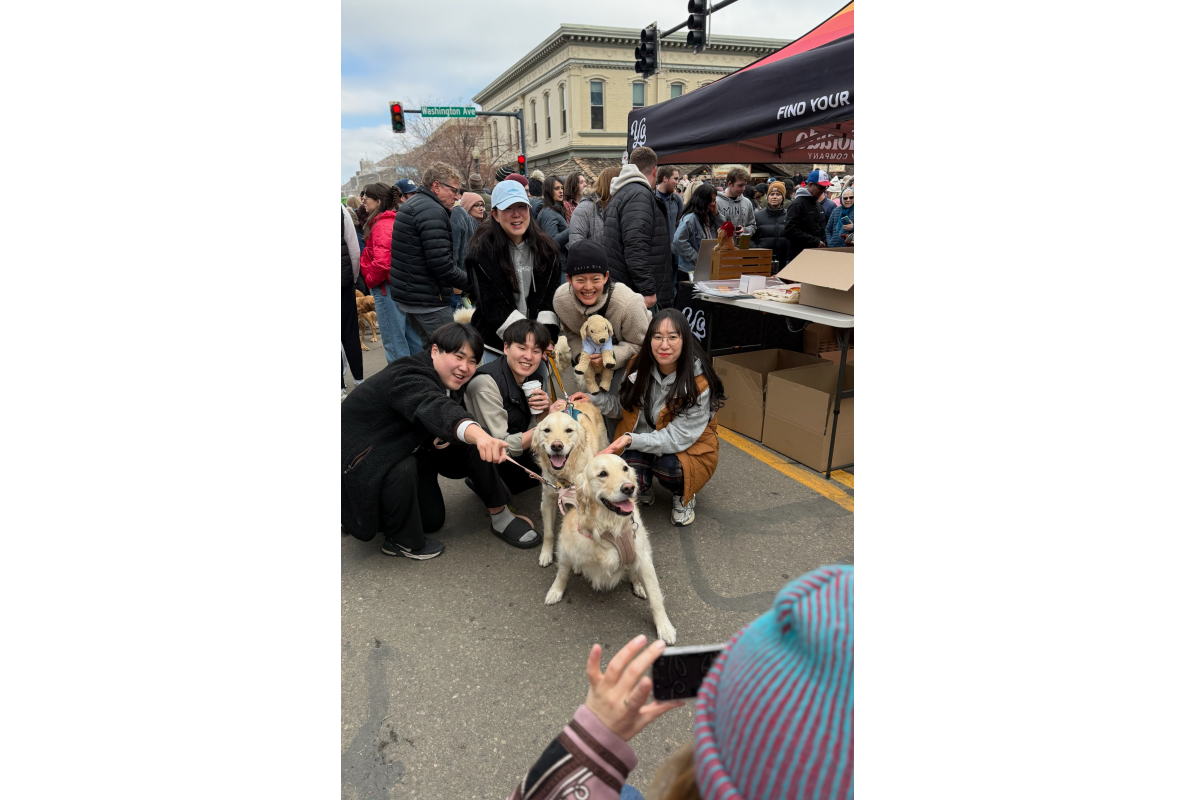 People posing with golden retrievers at Goldens in Golden 2025 in downtown Golden CO